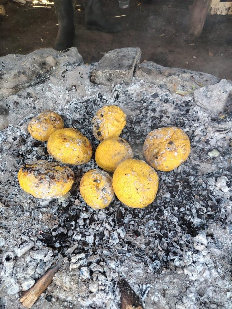 Floarea de Colț Ibanesti Pădure
