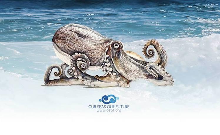 beach clean up auckland