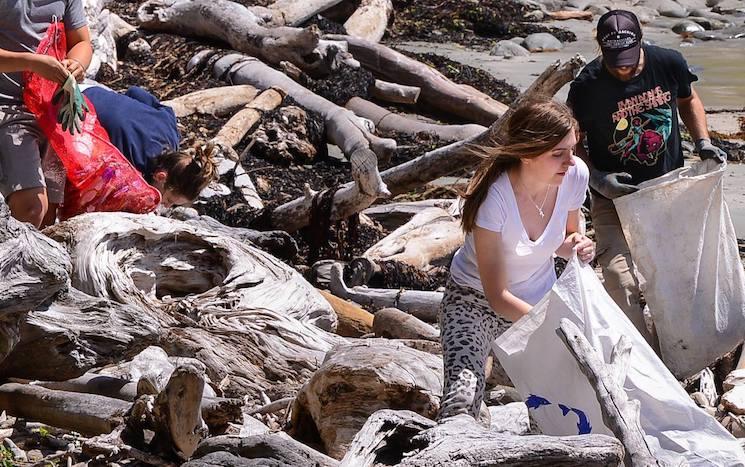 beach clean up wellington
