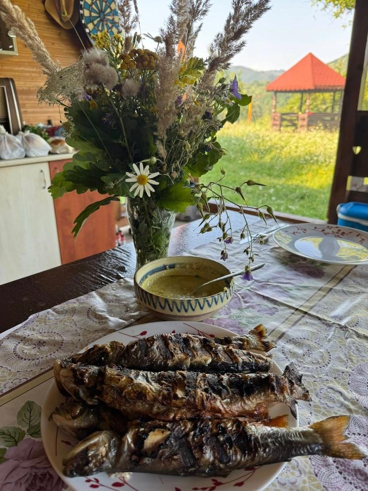 Floarea de Colț Ibanesti Pădure