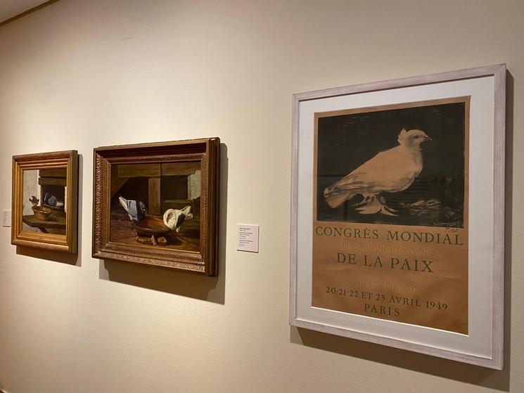 Casa Natal Picasso Malaga