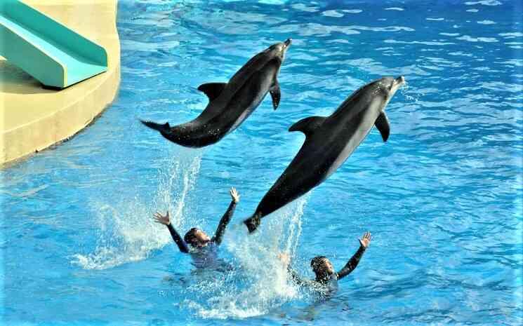 Ocean Park Hong Kong