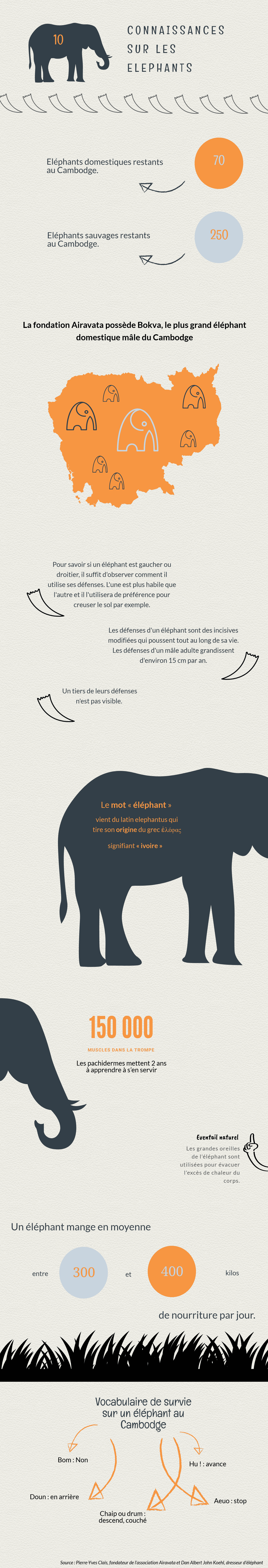 informations à connaître pour monter un éléphant au Cambodge