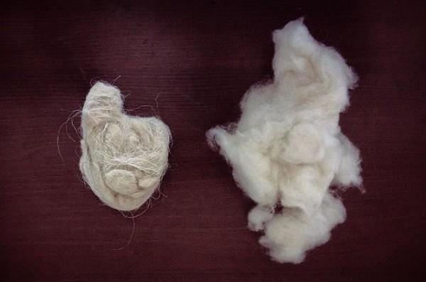 pashmina cachemire ladakh etole