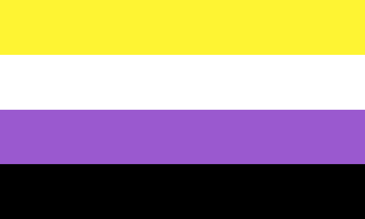 Le drapeau non-binaire, composé de violet, jaune, blanc et noir