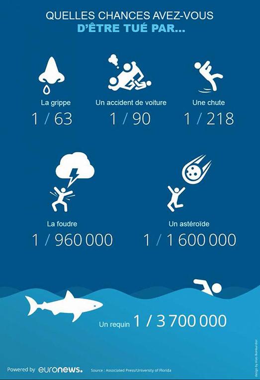 baignade attaque requin