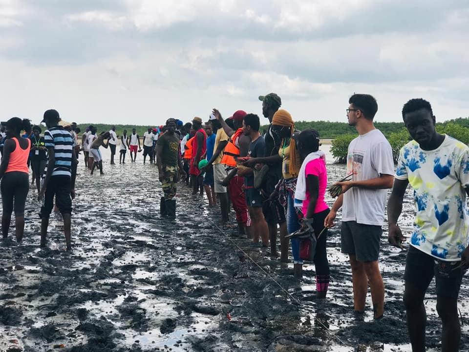 nebeday reboisement camp climat 2019