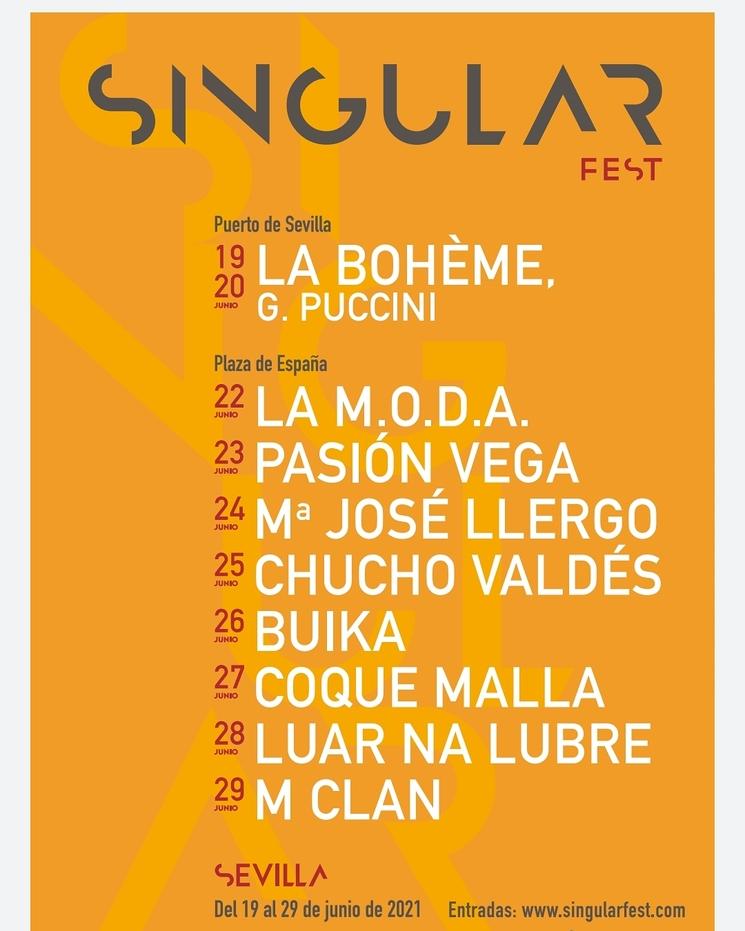 Affiche Singular Fest