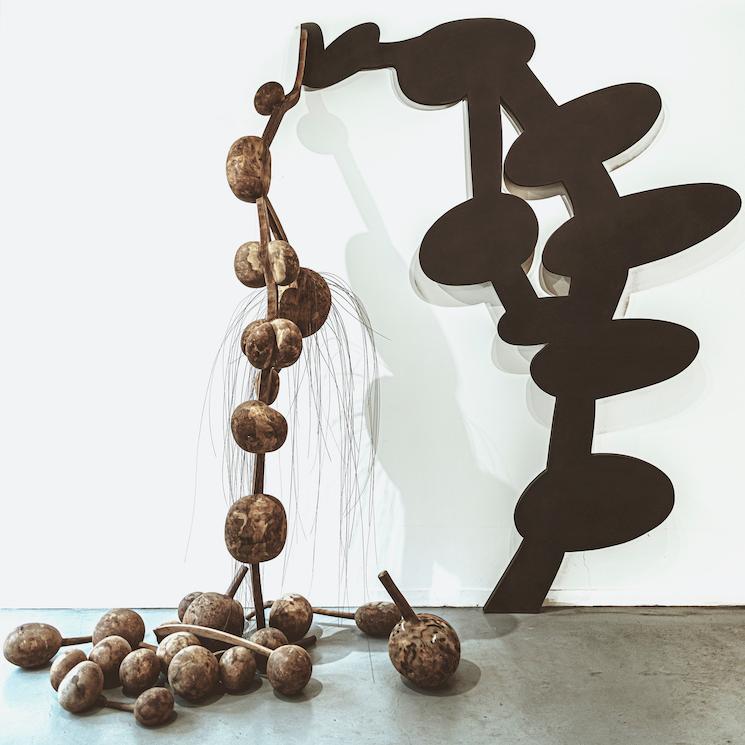 Oeuvre de Frans Krajcberg