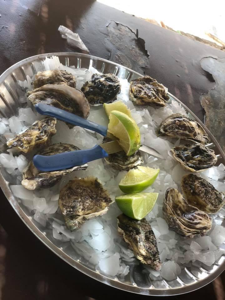 huites chez norbert la somone