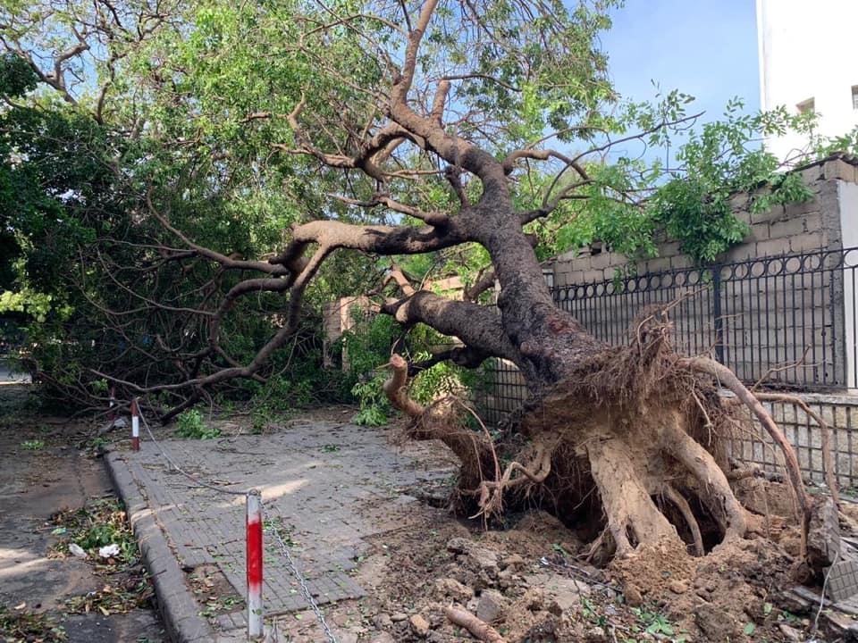 tempete dakar hivernage rafales