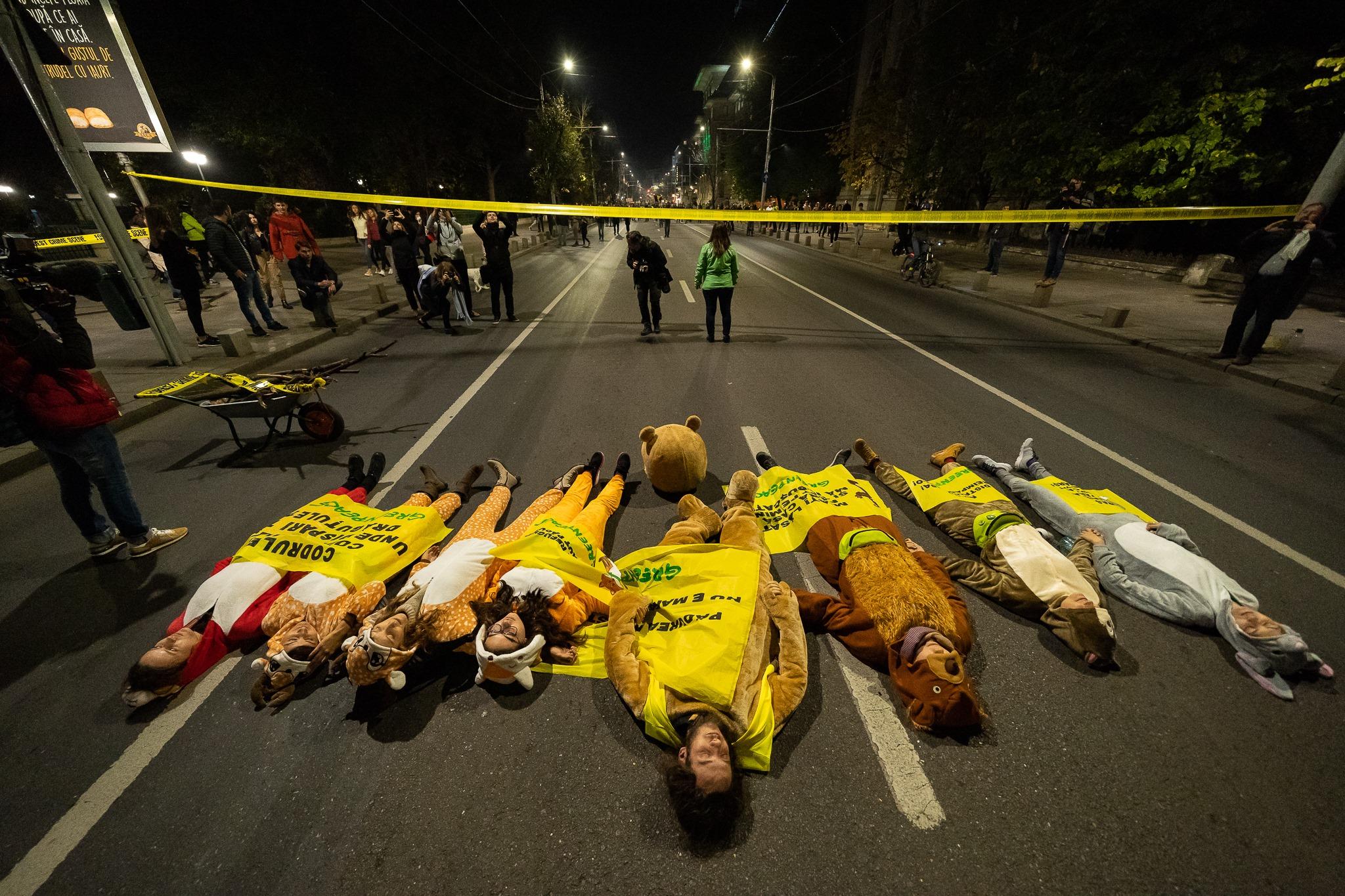greenpeace Romania