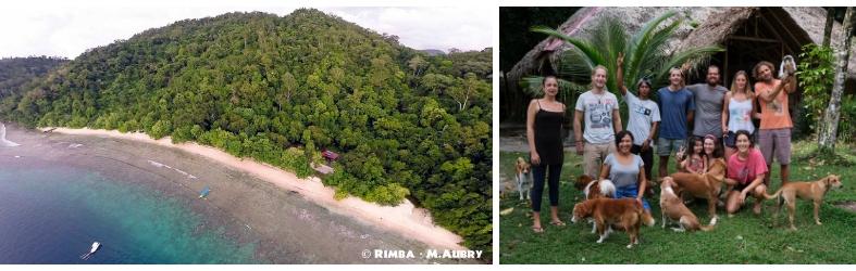 covid-19 indonésie touristes