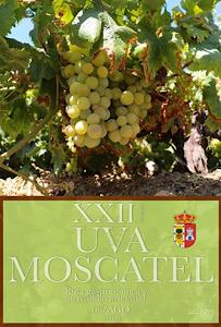 Iznate Festival Moscatel