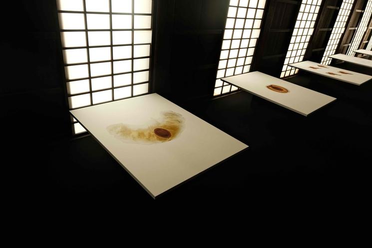 Œuvre de Thierry Ardouin