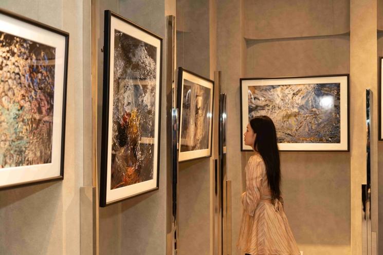 hanoi art expo france