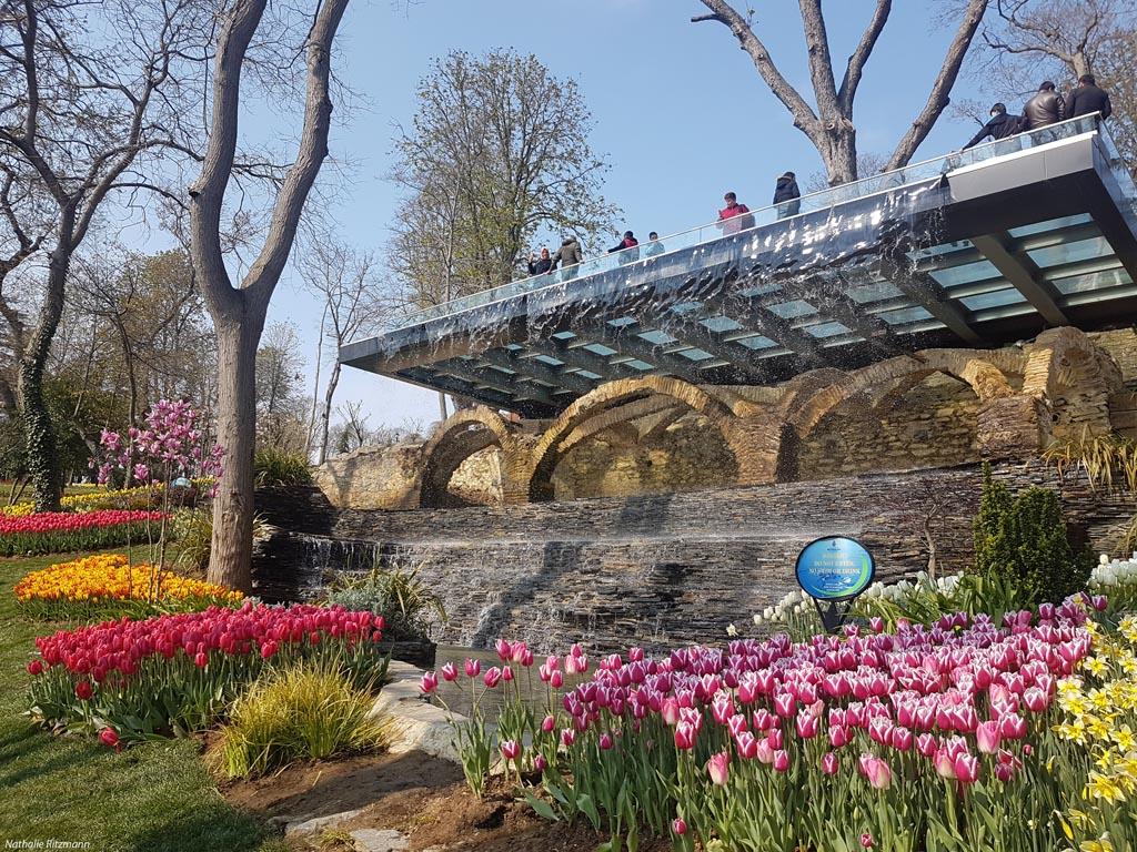 jardin, tulipe, terrasse, soleil