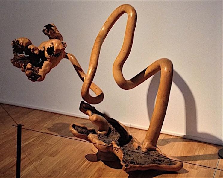 Oeuvre de Frans Krajcberg