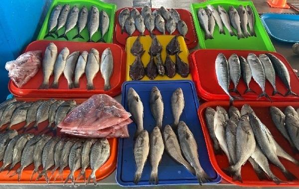 Marché aux poissons de Chorrillos