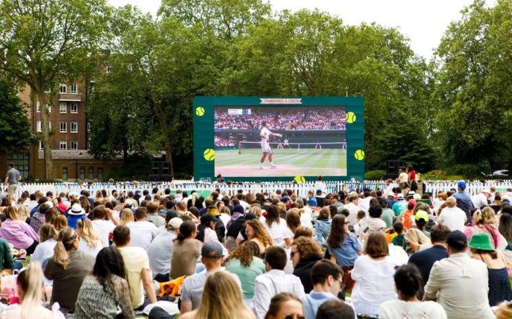 Strawberries & Screen - Chelsea