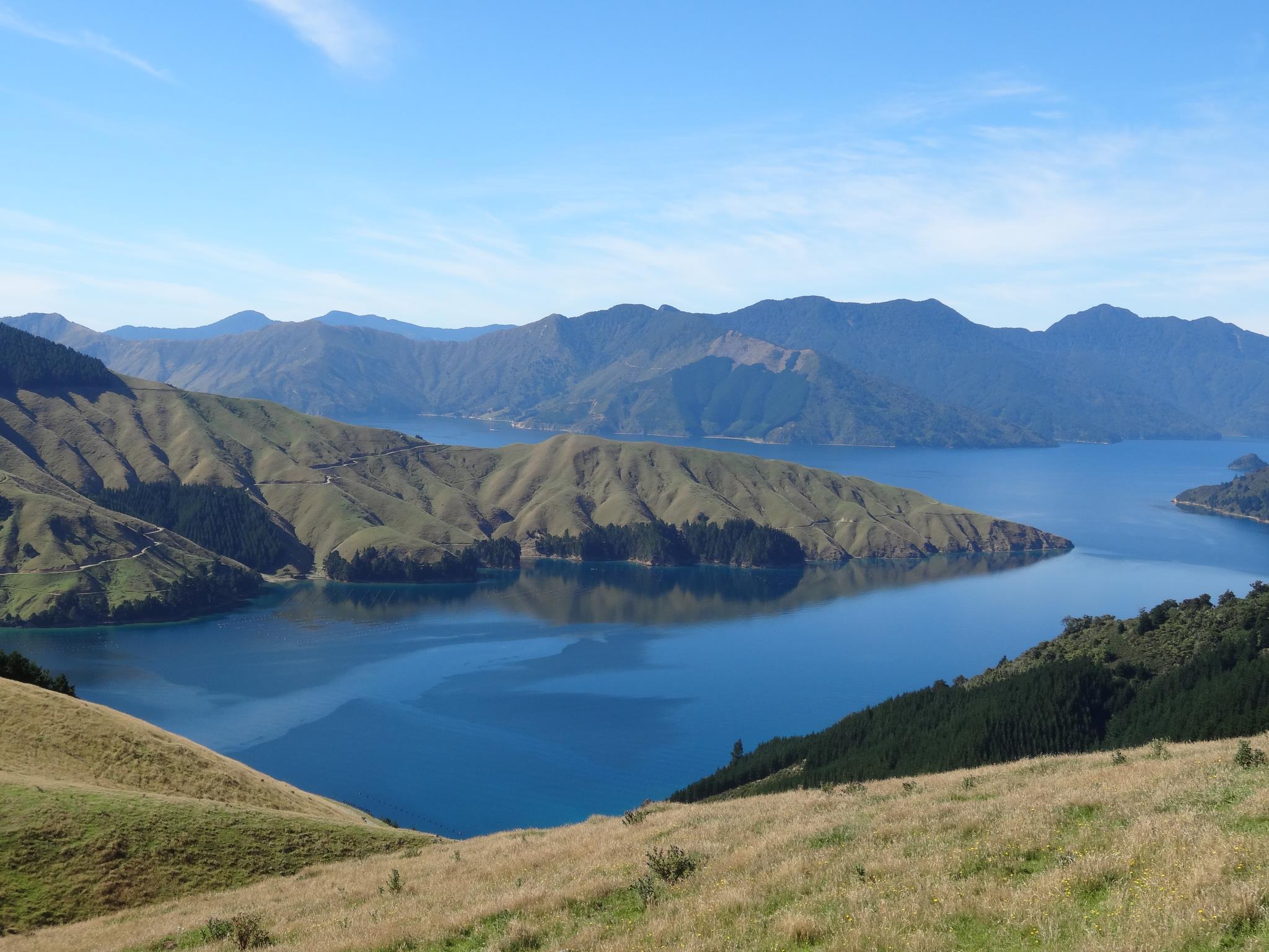 faillite aides insuffisantes entrepreneurs expatriés