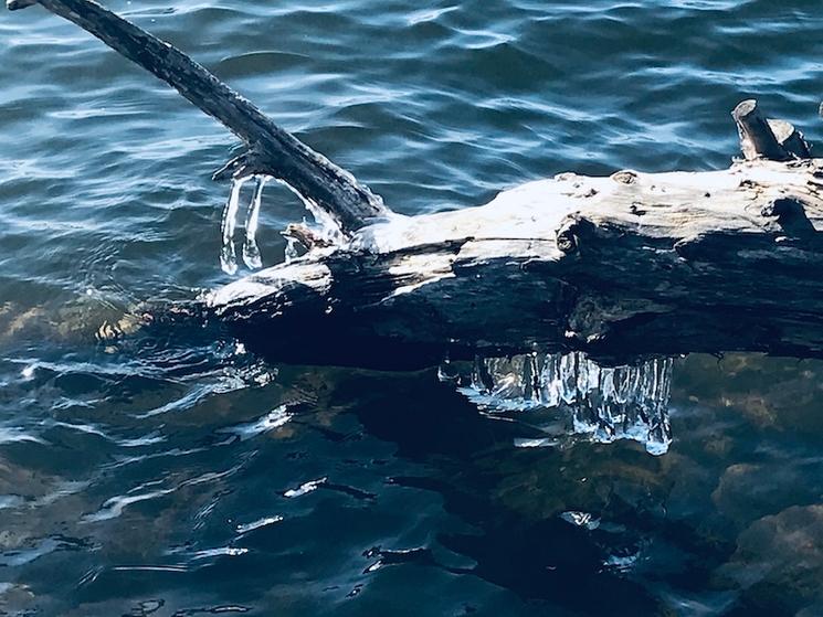 photo glace stockholm