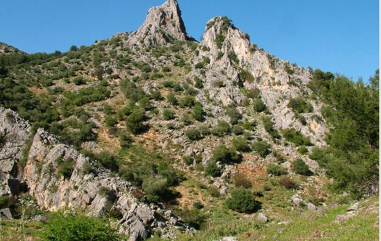 Sierra de las Nieves
