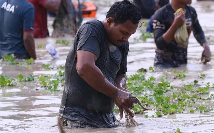 À Siem Reap, la pêche devient une fête collective