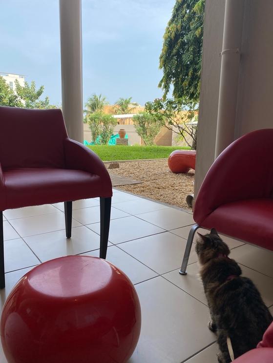 Espace extérieur de l’ibis hôtel cotonou