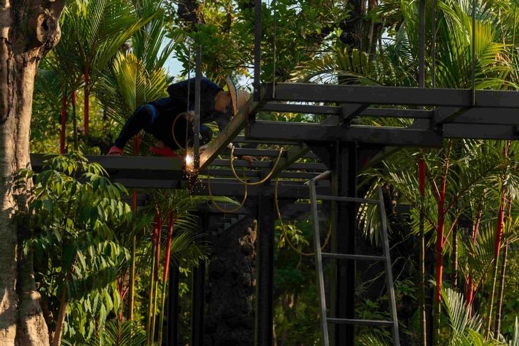 Parc arbres Chiang Mai