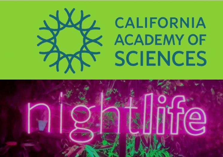 Nightlife à l'académie des sciences de San Francisco