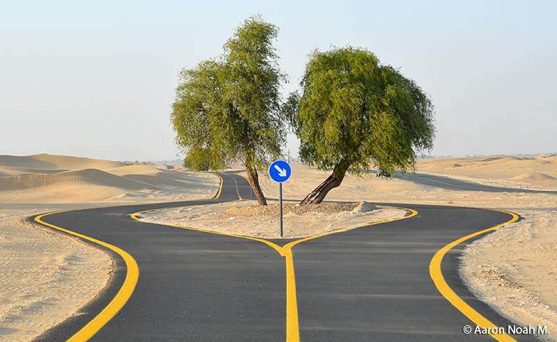 Al qudra cycle path