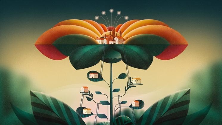 illustration d'une plante