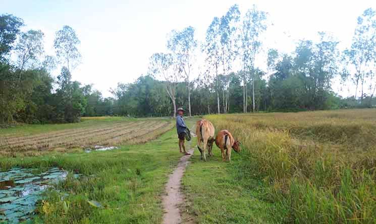 Alexandre Pallas voyage à Champs