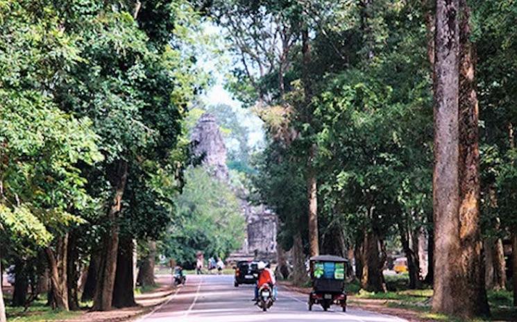 Angkor enregistre une forte baisse de sa fréquentation au premier semestre 2026