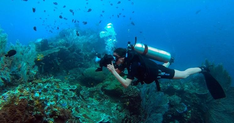 anne de carbuccia plongée océan