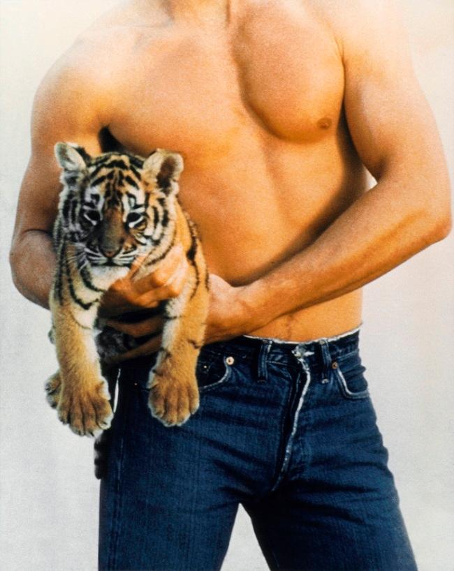 petit tigre dans les bras d'un homme en jean