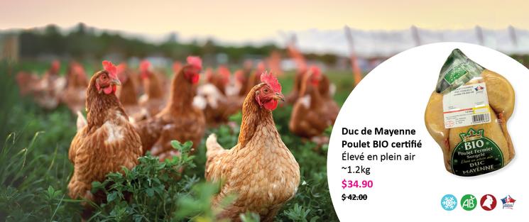 Volaille duc de mayenne