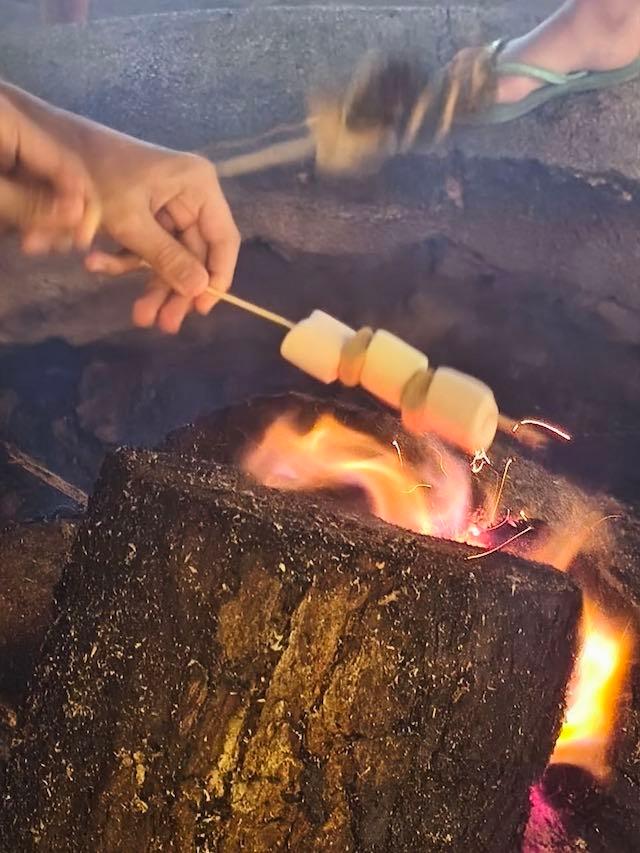 Au Cambodge, l'AEFC offre la nature à des enfants français défavorisés