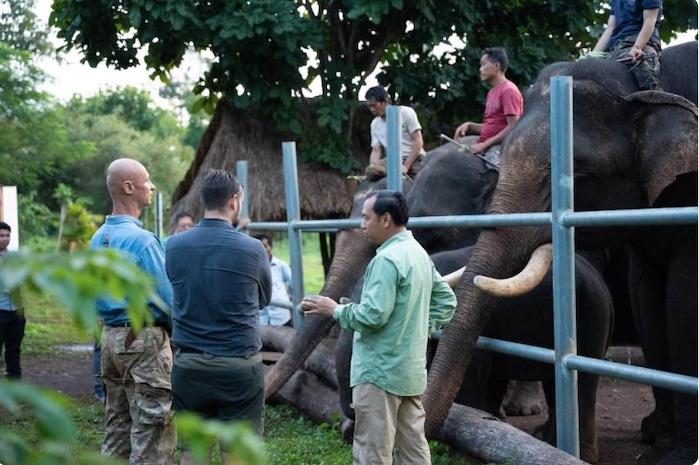 Le ministre de l'Information, Neth Pheaktra, rend visite aux éléphants de la Fondation Airavata Elephant. Photo : Neth Pheaktra, ministre de l'Information / Facebook