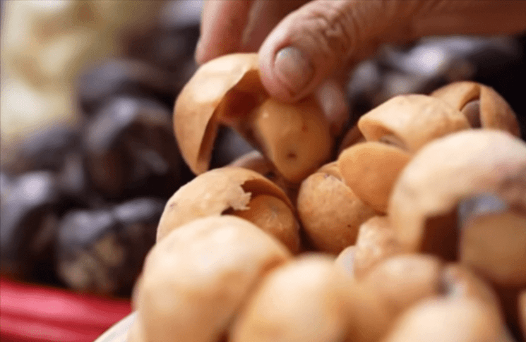 vietnam automne que faire hanoï