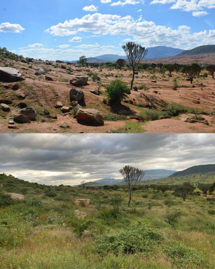 Avant après de la méthode RNA à Luhundwa en Tanzanie