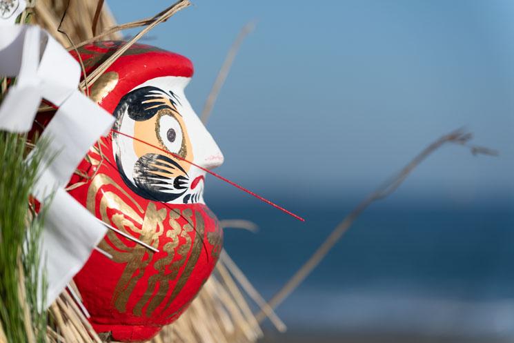 B.Chapiron Shonan Focus