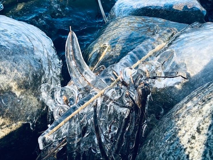 photo glace stockholm