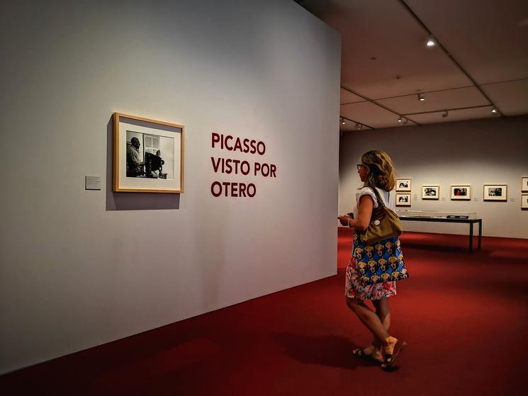 Picasso Otero Museo Picasso Malaga