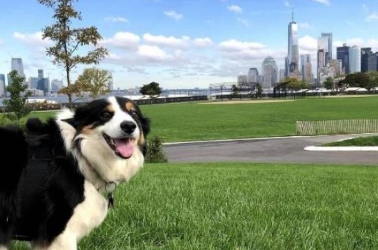 Cadeau de Noël New York