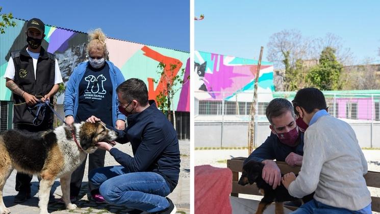 refuge animaux Grèce