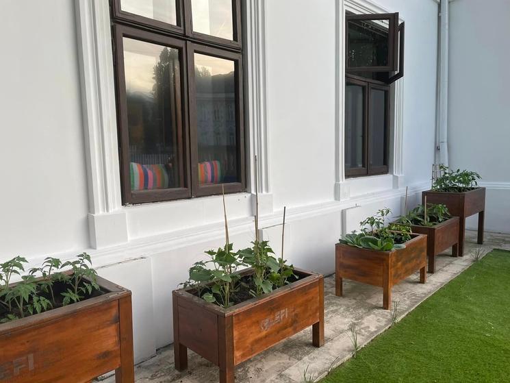 Bacs Potagers à l'EFI Bucarest, École Française Internationale