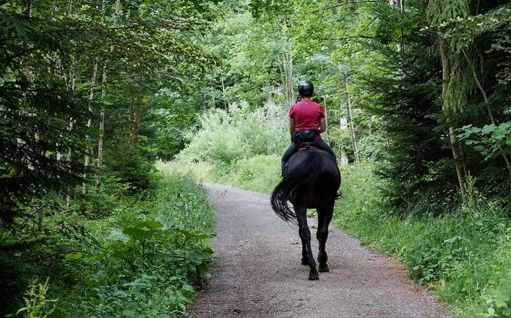 balade à cheval en forêt