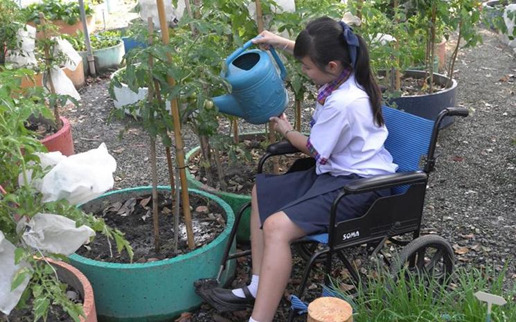 Une élève expérimente le jardinage dans une chaise roulante à la wheelchair farm